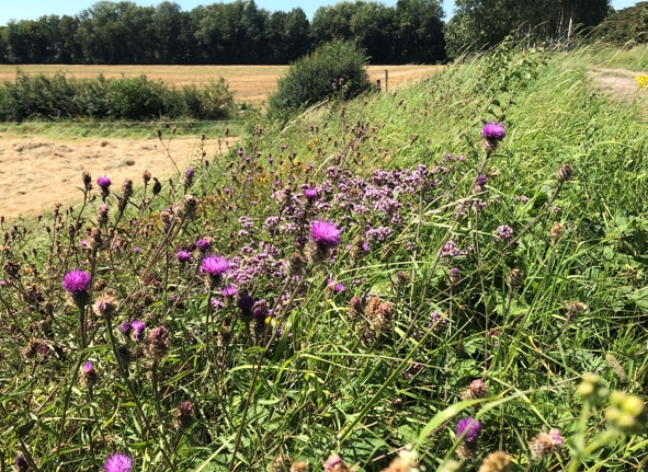 Preview van kaart: Natuurerfgoed